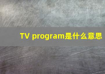 TV program是什么意思